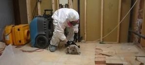 Floor Replacement After Mold Was Discovered